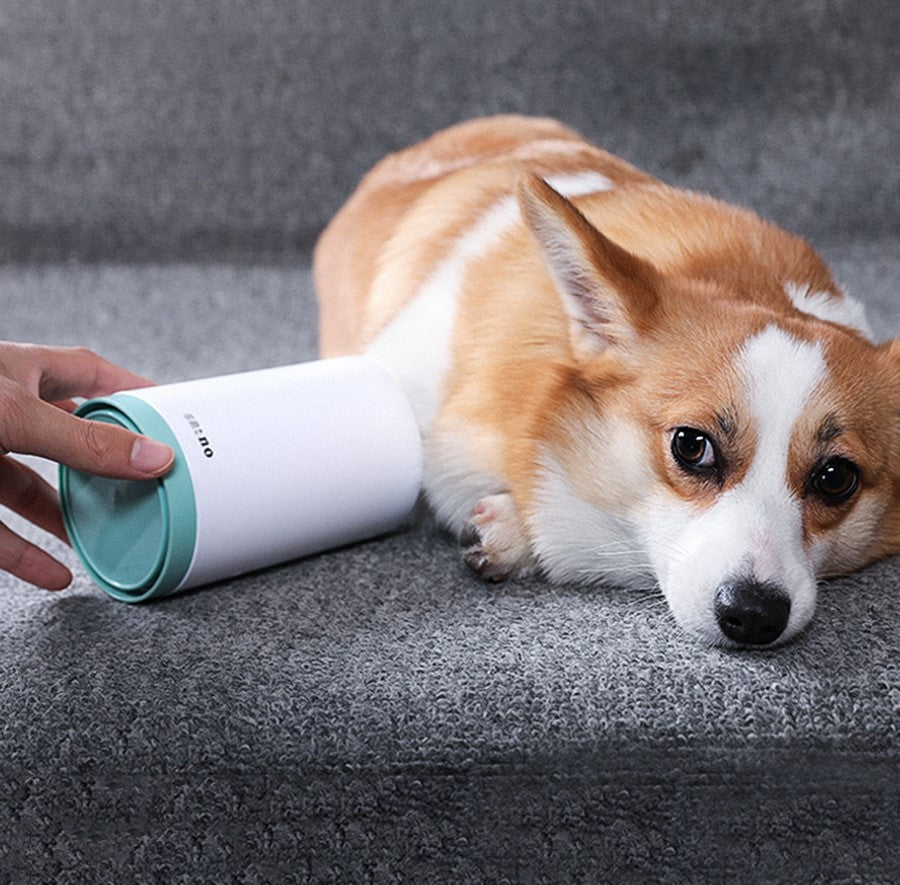 Mess-Free Pet Paw Cleaner