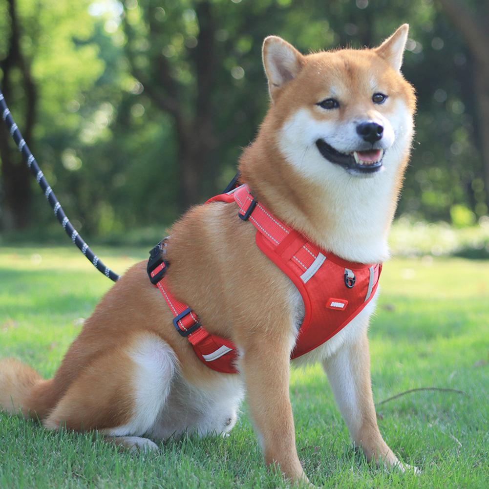 Adjustable No-Pull Dog Walking Harness