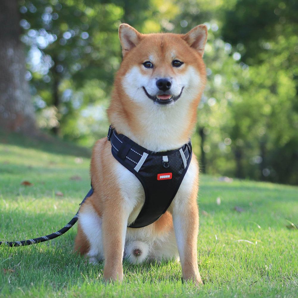 Adjustable No-Pull Dog Walking Harness